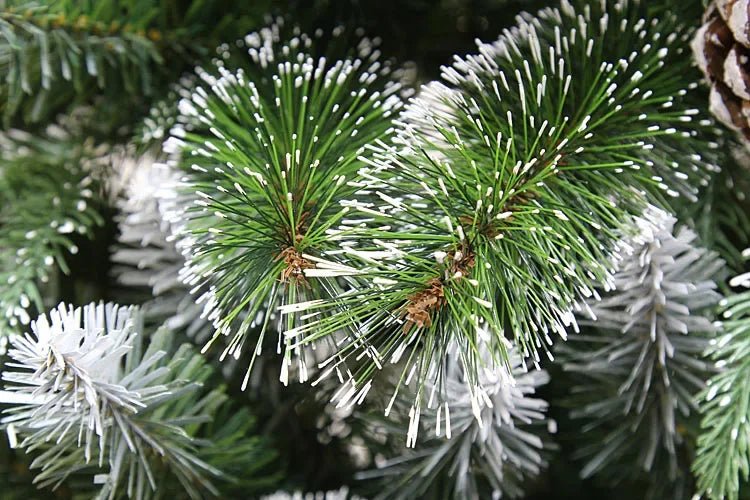 120 - 300cm Christmas Tree Encrypted PVC Pine Needles Glued White Pine Cones Christmas Tree for Christmas Decoration Ornament - MAGUSTA BEAUTY