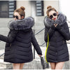 2025 New Arrival Fashion Slim Women Winter Jacket Cotton Padded Warm Thicken Ladies Coat Long Coats Parka Womens Jackets - MAGUSTA BEAUTY