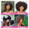 Short Afro Kinky Curly Human Hair Wig With Bangs Fluffy Natural Bob Wigs Brazilian Full Machine Made Wigs On Sale  180% Density
