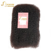 Joedir brasilianisches Remy Haar Afro Kinky Curly Bulk Echthaar zum Flechten von Dreadlocks Haarverlängerungen Häkelzöpfe QVR Haar