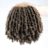 Bob Spring Twist Hair Vorgeflochtene Häkelzöpfe 6 Zoll Synthetisches kurzes Passion Twist Haar vorgeflochten von Flyteng