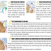 Highlights Schwarz und Weiß Perückenfarbe Vorgezupfter Haaransatz 613 Blonde Kurze Bob 13x4 Echthaar Lace Front Perücken HD Frontal Glatt