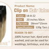 Full Shine Human Hair Extensions Clip in Hair Extensions Human Hair 7PCS 105G Double Weft Hair Extensions Human Hair For Woman