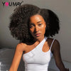 4B 4C Afro Kinky Curly Clip-In Echthaar-Extensions 100 % mongolisches unbehandeltes Haar Echtes menschliches Naturhaar Schwarz Clip-Ins Afro-Bündel YouMay