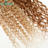 Crochet Braids Echthaar vorgeflochten Boho Box Braid Häkelzöpfe Echthaar vorgeflechtet mit lockigen Enden 100 Strähnen Farbe 30 27