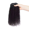 10-24 Inch Afro Curly Clip In Human Hair Extensions Afro Kinky Curly Clips Human Hair Extensions 100% Human Hair For Women