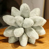 Inyahome 3D Sukkulenten-Kissen Kaktus Plüsch Blumenpflanze Geformtes Kissen für Wohnzimmer-Dekoration Neuartige Dekoration Pflanzen-Deko