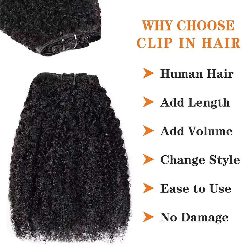 10-24 Inch Afro Curly Clip In Human Hair Extensions Afro Kinky Curly Clips Human Hair Extensions 100% Human Hair For Women