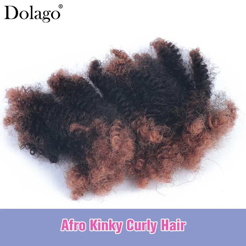 Menschliches Flechthaar Afro Kinky Lockiges Haar Haarverlängerungen Microlocs Lose Haare zum Flechten Ombré-Farbe Braun Crochet Braids 4C