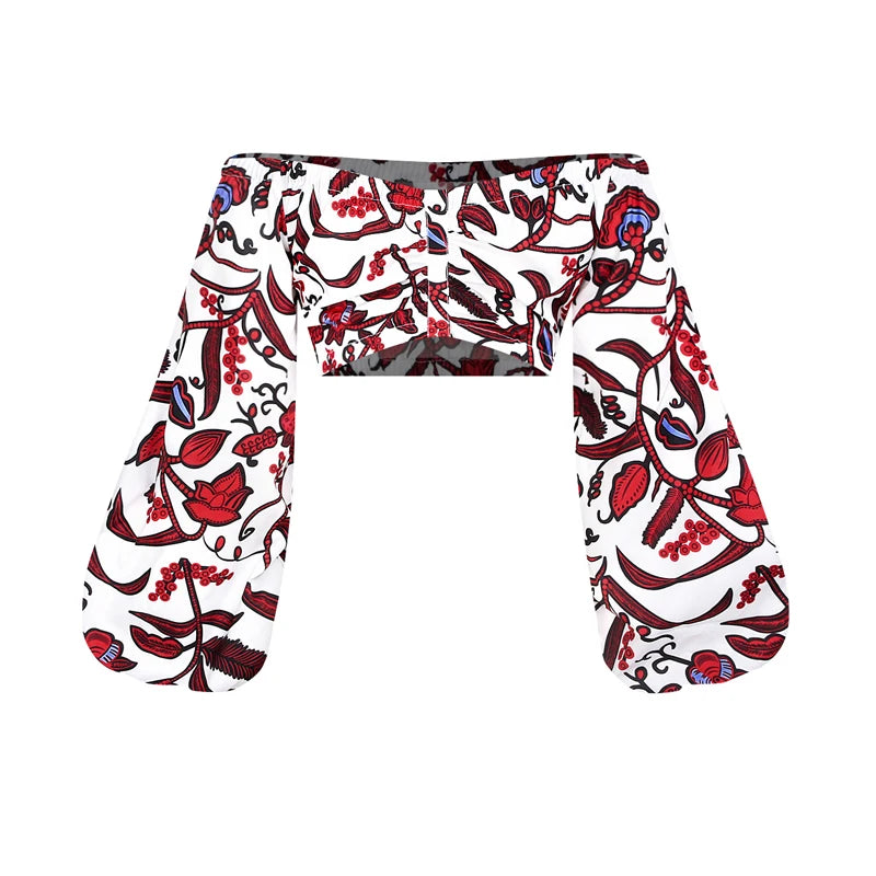 Afrikanische Kleider für Damen, Herbst, 2-teiliges Set, Damen, lange Ärmel, schulterfrei, mit Feder-Dashiki-Print, geteilte Röcke, afrikanische Kleidung