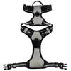 Pet Dog Harness Reflective Adjustable Breathable Vest Chest Strap for Small Medium Large Dogs Cat Puppy Collar Dog Accessoires