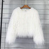 2023 Women Faux Fur Coat Autumn Winter High Quality Fluffy Short Coat Faux Fur Jacket