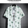 Beach Clothes For Men 2 Piece Set Quick Dry Hawaiian Shirt and Shorts Set Men Fashion Clothing Printing Casual Outfits Summer
