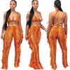 Bra+tassel Pants Suit  2 Piece Set Women Hot Pink Swimsuit Mesh Bathing Suit Sexy Matching Swimwear Viquinis Mujer 2022