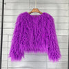 2023 Women Faux Fur Coat Autumn Winter High Quality Fluffy Short Coat Faux Fur Jacket