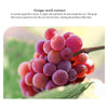 IMAGES Grape Moisturizing Collagen Eye Mask Anti Dark Circles Eye Bags Anti-aging Eyes Masks Beauty Skin Care Eye Patches 60Pcs