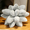 Inyahome 3D Sukkulenten-Kissen Kaktus Plüsch Blumenpflanze Geformtes Kissen für Wohnzimmer-Dekoration Neuartige Dekoration Pflanzen-Deko