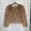 2023 Women Faux Fur Coat Autumn Winter High Quality Fluffy Short Coat Faux Fur Jacket