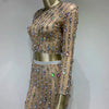 Festival-Outfit Damen High-End-Mode Nude-farbenes Strass-Mesh-Langarm-Crop-Top mit Rundhalsausschnitt und lange Röcke Gala zweiteiliges Set