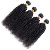 Mongolian Afro Kinky Curly Bundles Human Hair Afro Kinky Bulk Human Hair Unprocessed Virgin Hair Bundles for Women Natural Black