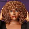 250D Braun Afro Kinky Curly Echthaarperücken mit Pony Zum Tragen Glueless Perücke Remy Brasilianische Kurze Lockige Echthaarperücke