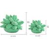 Inyahome 3D Sukkulenten-Kissen Kaktus Plüsch Blumenpflanze Geformtes Kissen für Wohnzimmer-Dekoration Neuartige Dekoration Pflanzen-Deko