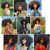 Afro Kinky Curly Bundles Brazilian 1/3 Afro Kinky Human Hair Bundles Deal 8-24" Hair Extensions Curly Human Hair Weave For Women
