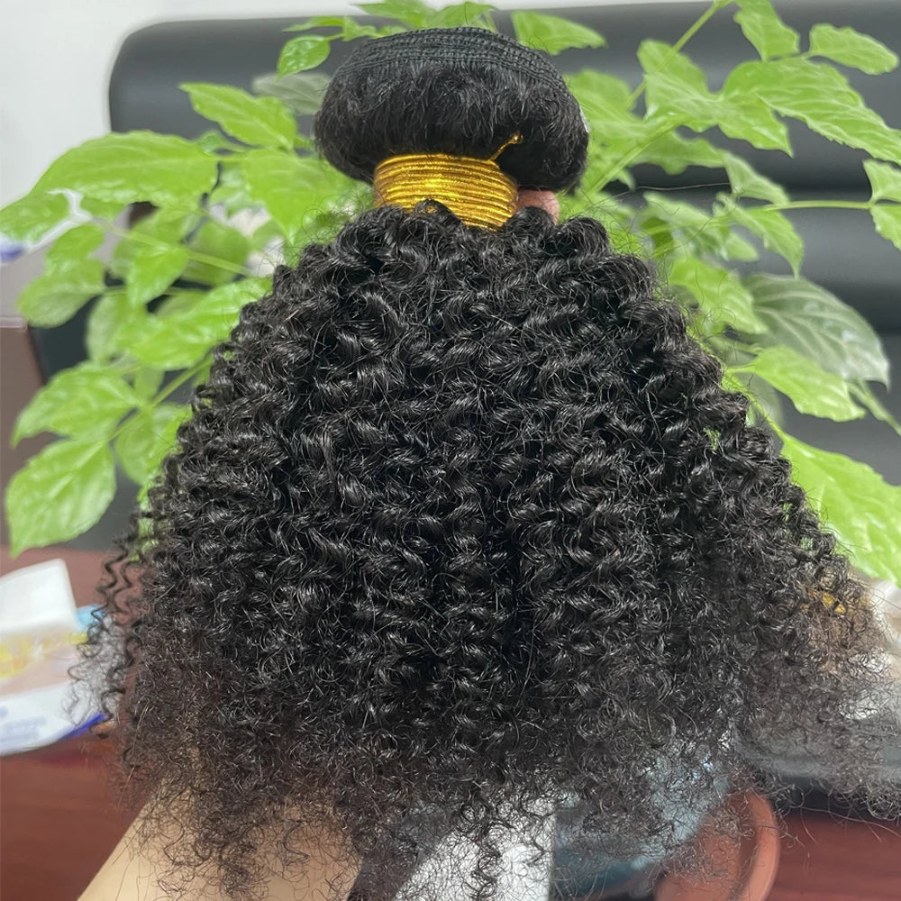 Afro Kinky Curly Bundles Brazilian 1/3 Afro Kinky Human Hair Bundles Deal 8-24" Hair Extensions Curly Human Hair Weave For Women