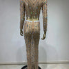 Festival-Outfit Damen High-End-Mode Nude-farbenes Strass-Mesh-Langarm-Crop-Top mit Rundhalsausschnitt und lange Röcke Gala zweiteiliges Set