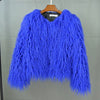 2023 Women Faux Fur Coat Autumn Winter High Quality Fluffy Short Coat Faux Fur Jacket