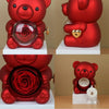 Valentinstag Rose Hug Bär Schmuckkästchen Echte Ewige Rosen Geschenke für Freundin Frauen Ehefrau Muttertag Geburtstag Jahrestag