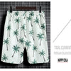 Beach Clothes For Men 2 Piece Set Quick Dry Hawaiian Shirt and Shorts Set Men Fashion Clothing Printing Casual Outfits Summer