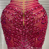 Show Dress Costumes Women Rose Sequins Rhinestones Breast Cups Mesh Bodycon Mini Evening Club Party Birthday Dress Shoot