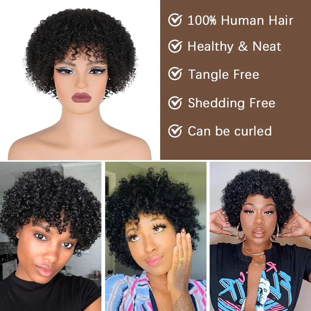 10 Inch Afro Kinky Curly Bob Wig With Bangs Curly Pixie Cut Glueless Wigs Machine Made Brazilian Human Hair Wigs For Black Women