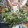 1pc Artificial Eucalyptus Leaves Greenery Garland Faux Plant Spring Vines with White Flowers Berries for Wedding Home Party Deco