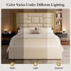 King Size Bed Frame with 55.12" Tall Headboard, Modern Luxury Velvet Upholstered Platform Bed with Gold Trim, Wide, Custom