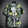 Beach Clothes For Men 2 Piece Set Quick Dry Hawaiian Shirt and Shorts Set Men Fashion Clothing Printing Casual Outfits Summer