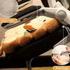 1 Stück Simulation Brot Toast Kissen Gefüllt Memory Foam Kissen Sofa Stuhl Dekor Sitzkissen Niedliche Studenten Stuhlauflage