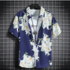 Beach Clothes For Men 2 Piece Set Quick Dry Hawaiian Shirt and Shorts Set Men Fashion Clothing Printing Casual Outfits Summer