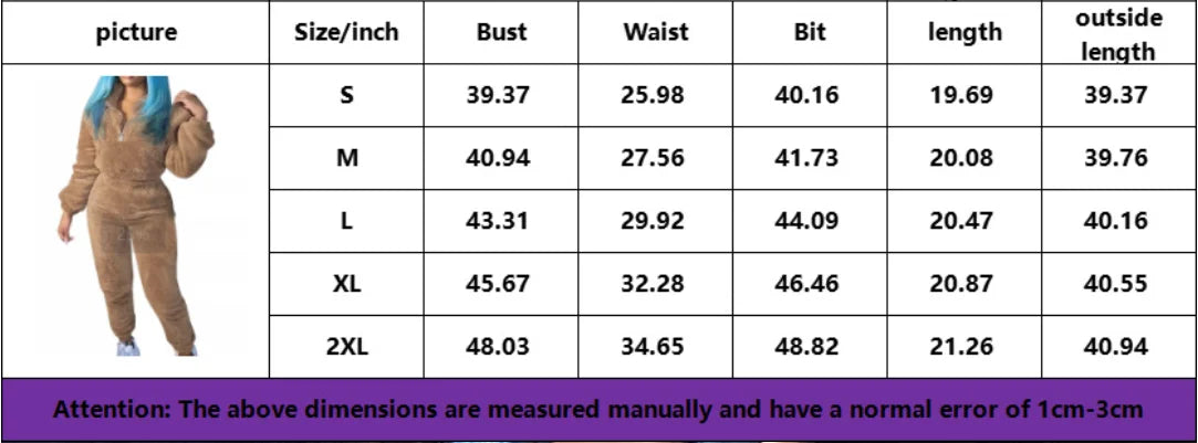 Winter New Plush Two Piece Set Casual Home Warm Suit For Women Fashion Zipper Lapel Pullover Top Elastic Waist Trousers Suit