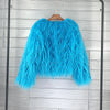 2023 Women Faux Fur Coat Autumn Winter High Quality Fluffy Short Coat Faux Fur Jacket