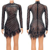 Sexy Perlen Strass Partykleider Damen Eleganz Nachtclub Feder Geburtstagskleid Langarm Mesh Sheer Bodycon Minikleid