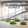 Sumnus Chic Mini A-Line Party Dresses One Shoulder Satin Evening Dress Sexy Short Style Cocktail  Prom Gowns Customized