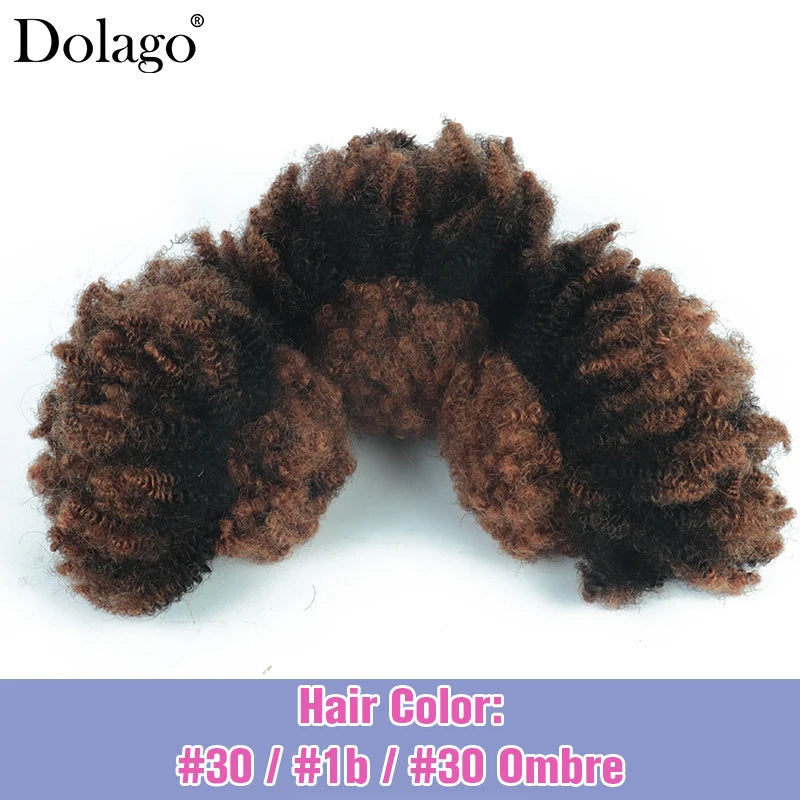 Menschliches Flechthaar Afro Kinky Lockiges Haar Haarverlängerungen Microlocs Lose Haare zum Flechten Ombré-Farbe Braun Crochet Braids 4C