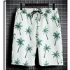 Beach Clothes For Men 2 Piece Set Quick Dry Hawaiian Shirt and Shorts Set Men Fashion Clothing Printing Casual Outfits Summer
