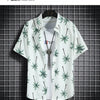 Beach Clothes For Men 2 Piece Set Quick Dry Hawaiian Shirt and Shorts Set Men Fashion Clothing Printing Casual Outfits Summer