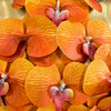 Rosered Orange Women Sexy Florals Backless Halter Bodycon Tops Nightclub Party Celebrate Carnivals Music Festival Tops