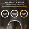 Bathroom Smart Makeup LED Mirror Adjustable light With Bluetooth Speaker Anti-Fog Human Body Induction Hotel Decoration Mirror
