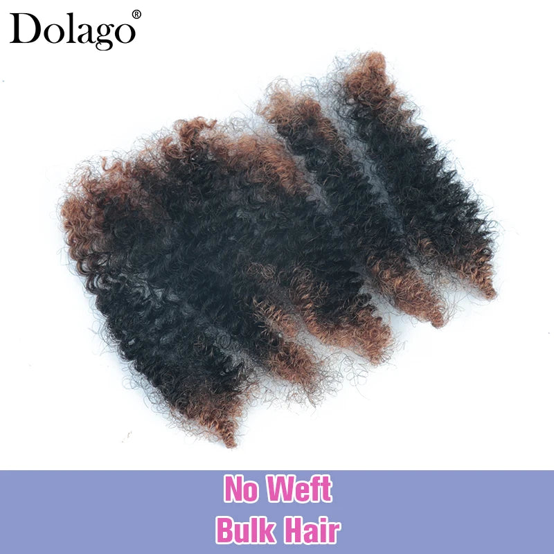 Menschliches Flechthaar Afro Kinky Lockiges Haar Haarverlängerungen Microlocs Lose Haare zum Flechten Ombré-Farbe Braun Crochet Braids 4C