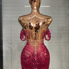 Show Dress Costumes Women Rose Sequins Rhinestones Breast Cups Mesh Bodycon Mini Evening Club Party Birthday Dress Shoot